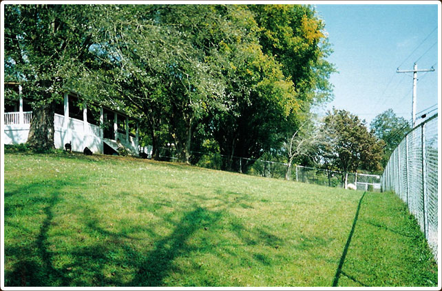 yard1